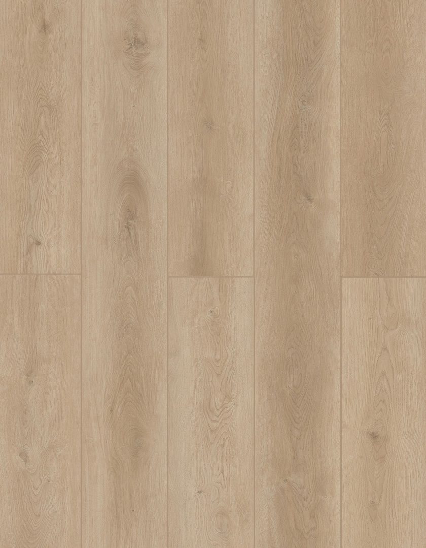 Lions Indoor Delight Castle Forge flooring
