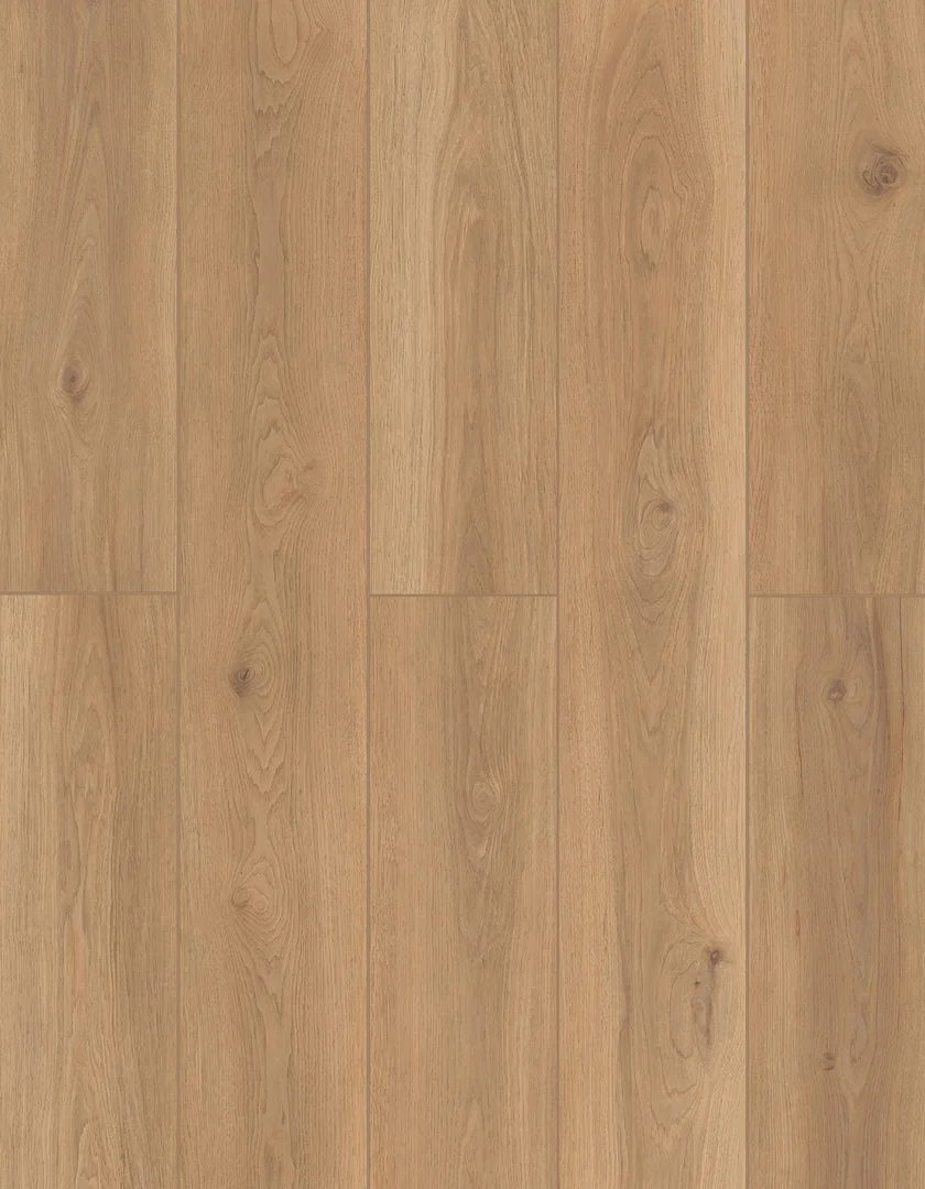 Lions Lone Star Spirit XL Backyard Garnish flooring